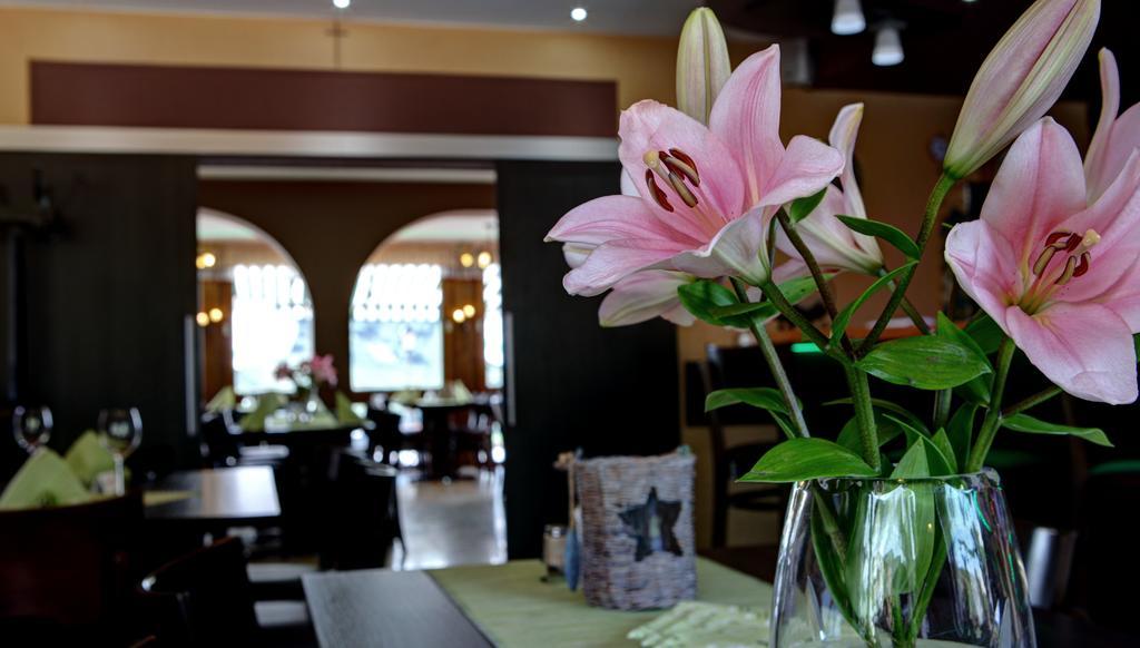 Hotel Restaurant Moselblick Wintrich Εξωτερικό φωτογραφία